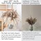 28" inch 20 Stems Large Pampas Grass Decor - Fluffy Brown & White Pampas Grass Decor Tall Pompas Grass for Floor Vase - Boho Home Decor Wedding Decor Natural Flower Bouquet